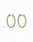 Colorful Hoops
