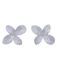 Cute Blooming Flowers