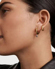 Candied Lush Hoops - Gold